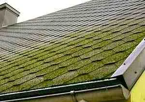 Are roofers responsible for leaks?