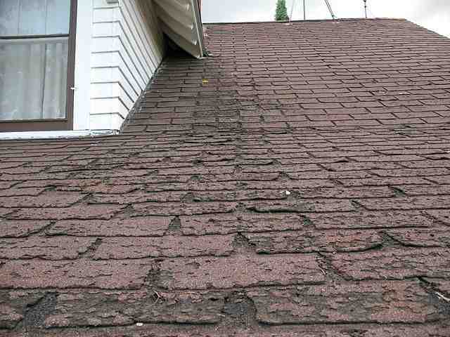 Do you have to replace your roof every 20 years?